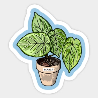Caladium Plants Sticker